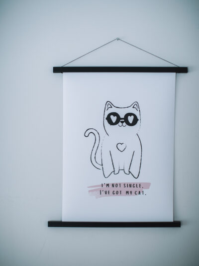 i´m not singe. i´ve got my cat