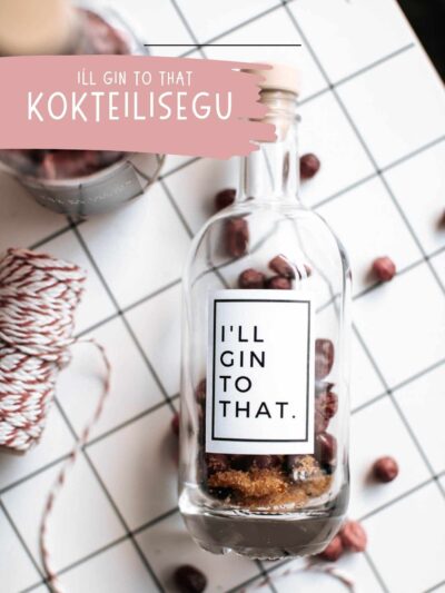 kokteili valmistamise komplekt gin jõhvikas ja tšilli