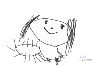 Lily