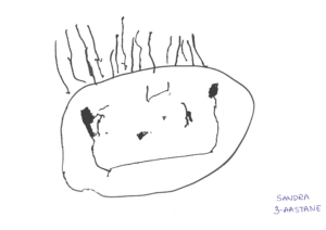 Sandra